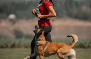 Köpek Davranışlarını Anlama ve İletişim